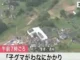 わなにかかった子グマのそばを親グマが離れず　約３時間後に解放　現場は小学校から約５００メートル