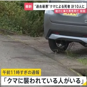 秋田　クマに襲われている70代の夫婦を助けに来た30代の男性が死亡　クマによる死者“過去最悪”10人に