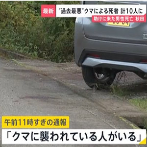 秋田　クマに襲われている70代の夫婦を助けに来た30代の男性が死亡　クマによる死者“過去最悪”10人に