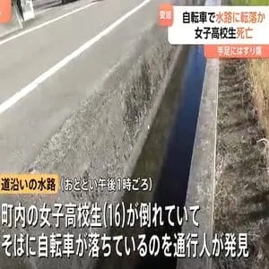 自転車の女子高校生が水路に転落か　病院で死亡　水路は深さ約90センチで柵など無し　愛媛・松前町