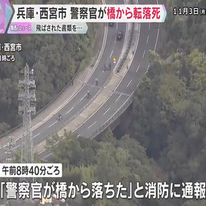 事故処理中の警察官が国道の橋から14ｍ下に転落死　風で飛ばされた書類を拾おうと…　兵庫・西宮市