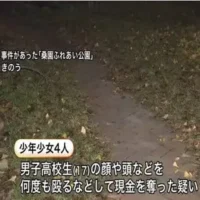 “強盗致傷”で16歳～17歳の少年少女4人逮捕　被害の男子高校生は脳挫傷の重傷　公園で顔や頭を何度も殴る暴行し現金奪う〈札幌市〉