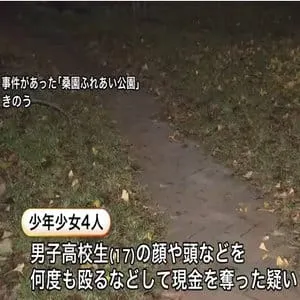 "強盗致傷"で16歳～17歳の少年少女4人逮捕　被害の男子高校生は脳挫傷の重傷　公園で顔や頭を何度も殴る暴行し現金奪う〈札幌市〉