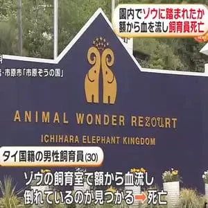 園内でゾウに踏まれたか…額から血を流し男性飼育員が死亡　千葉「市原ぞうの国」