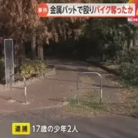 背後からいきなり金属バットで殴りバイク奪ったか…少年2人逮捕　面識ない少年を暴行…顔や腕骨折する大けが　警視庁