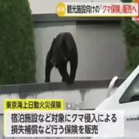 東京海上が“クマ保険”販売へ…施設侵入による営業停止の損失補償　ホテルやゴルフ場などが対象