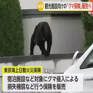 東京海上が“クマ保険”販売へ…施設侵入による営業停止の損失補償　ホテルやゴルフ場などが対象