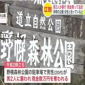 SNSで知り合った女性と午前2時に公園駐車場で会っていたら―黒髪のオールバックの男ら2人に男性が突然殴られ一時意識を失う…男2人は現金数万円を強奪し逃走中〈北海道江別市〉