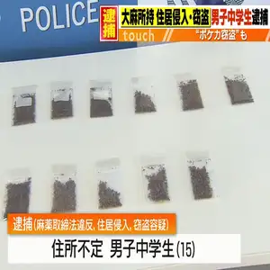 大麻所持、腕時計など340万円相当の窃盗…15歳中学生を逮捕