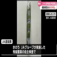 香美市産のニラから基準値を超える残留農薬　高知を含む21都府県に約700キロ出荷【高知】