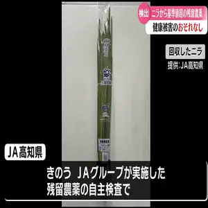 香美市産のニラから基準値を超える残留農薬》高知を含む21都府県に約700キロ出荷【高知】
