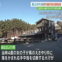 馬に嚙まれ4歳女児が指先切断　乗馬施設代表を書類送検　山梨