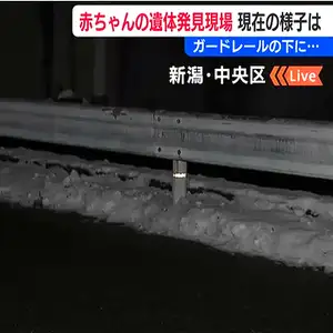 新潟市中央区の路上に裸の赤ちゃんの遺体　死体遺棄容疑で捜査