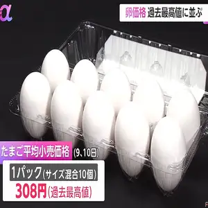 鳥インフルエンザが影響　卵価格が過去最高値に並ぶ　1パック平均小売価格308円と平年比プラス26％