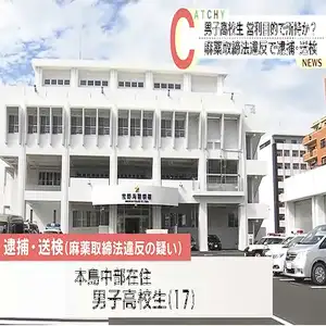 大麻とされる植物片を営利目的で所持していたとして、男子高校生が逮捕